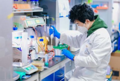 北京高校服务新时代首都发展特别报道 | 首都医科大学 锚定“首善”标准 办好人民满意的医学教育