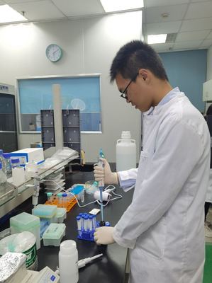 科研新星绽放 2020级巴斯德英才班闵晟一同学在《Frontiers in Public Health》发表医学研究新成果